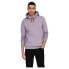 ONLY & SONS Ceres Life hoodie