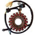 Фото #1 товара SGR Trifase 18 Poles Pick-Up 2 Wires 4163058 Stator