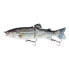 Фото #5 товара SEA MONSTERS Real Lures Two Section Glidebait