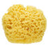 SARO Natural Sponge