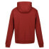 Фото #4 товара REGATTA Ortolan hoodie fleece