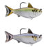 Фото #2 товара LIVE TARGET Gizzard Shad swimbait 28g 115 mm