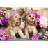 Фото #1 товара Puzzle Spanielwelpen mit Blumenhüten
