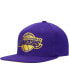 ფოტო #1 პროდუქტის Men's Purple Los Angeles Lakers Two Tonal Snapback Hat