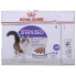 ფოტო #4 პროდუქტის ROYAL CANIN Sterilised Loaf Weight Maintenance 85g Wet Cat Food 12 Units