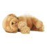 Интерактивное животное Little Live Pets Sleepy Puppy Famosa 700013210