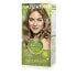 Фото #2 товара Natural Tint Permanent Hair Color 10 A Light Ash Blonde, 5.28 fl oz (Pack of 6) by Nature Tint