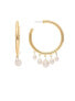 ფოტო #1 პროდუქტის Pearl Dangle Hoop Earrings