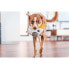 Фото #3 товара Игрушка для собак Red Dingo 20,5 cm Птица Белый Внутренность/Внешний