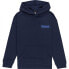 ELEMENT Sunup hoodie