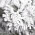 Фото #23 товара Елка искусственная SPRINGOS Fichte с искусственным снегом 180 см