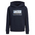 JACK & JONES Logan Print hoodie