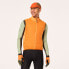 Фото #5 товара OAKLEY APPAREL Elements Insulated Gilet