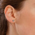Romantic steel earrings Heart Chakra BHKE039