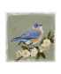 Фото #1 товара Victoria Borges Bluebird Branch I Canvas Art - 15" x 20"