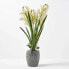Фото #3 товара Künstliche Orchidee im Zement
