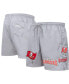 ფოტო #2 პროდუქტის Men's Pewter Tampa Bay Buccaneers Woven Shorts