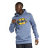 Фото #1 товара Reebok Dc X Batman Men's Hoodie Blusla IB5817