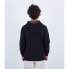 HURLEY Toledo Wild hoodie