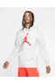 Фото #1 товара Air Jordan Jumpman Logo Fleece Hoodie NDD SPORT