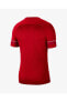Cw6101-657 M Nk Df Acd21 Top Ss Erkek T-shirt
