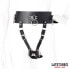 Фото #2 товара Adjustable Female Chastity Belt