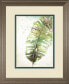 Фото #1 товара Watercolor Plantain Leaves II by Patricia Pinto Framed Print Wall Art, 34" x 40"