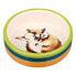 TRIXIE Hamster Ceramic Bowl Разноцветный, 80 ml - фото #1