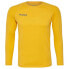 Фото #1 товара HUMMEL FirsPerformance long sleeve T-shirt