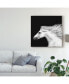 Фото #3 товара PH Burchett Black and White Horses V Canvas Art - 20" x 25"