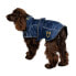 EQUESTRO Ribe dog coat Синий, 40 см - фото #10