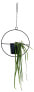 Фото #2 товара Hängetopf Hanging Garden Rund, schwarz