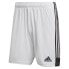 Фото #1 товара ADIDAS Tastigo 19 Shorts