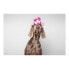 Игрушка для собак Gloria Dogmonsters Розовый Хряк 34 x 9 cm