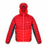 Фото #1 товара Мужская спортивная куртка Regatta Harrock Красный