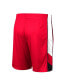 Фото #4 товара Men's Red Wisconsin Badgers Pool Time Shorts