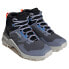 ADIDAS Terrex Swift R3id Goretex Hiking Shoes