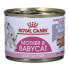 Фото #1 товара Корм для котов Royal Canin Babycat Instinctive 195 g