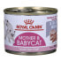 Фото #1 товара Корм для кошек Royal Canin Babycat Instinctive 195 гр