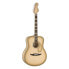 Fender Limited Edition California Vintage Palomino Antigua