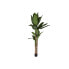 Фото #1 товара Декоративное растение Home ESPRIT полиэтилен Цемент Банан 90 x 90 x 290 cm