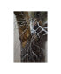 Фото #1 товара Michael Budden Winter Branches Canvas Art - 20" x 25"