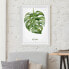 Фото #3 товара Bild Aquarell Botanik Monstera II