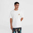 O'Neill Beach Graphic T-Shirt M 92800613984