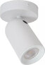 Lampa sufitowa DELIGHT Lucide Punch 13958/01/31 reflektor plafon lampa sufitowa spot 1x35W GU10 biały