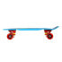 Фото #3 товара Skateboards Pennyboard Nils Extreme Crude Dragon