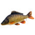 GABY The Common Carp Medium Pillow