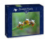 Фото #4 товара Puzzle Friendly Frogs 500 Teile
