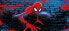 Poster Spider-Man