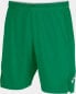 Фото #1 товара Joma Joma Toledo II Shorts 101958-450 Zielone L